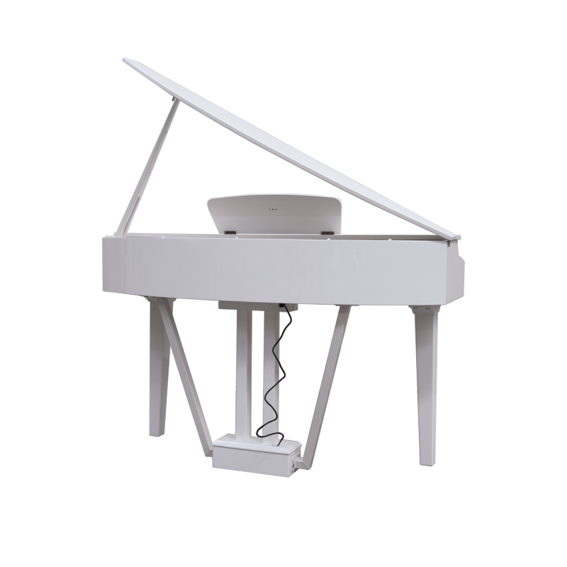 E-Chord - 