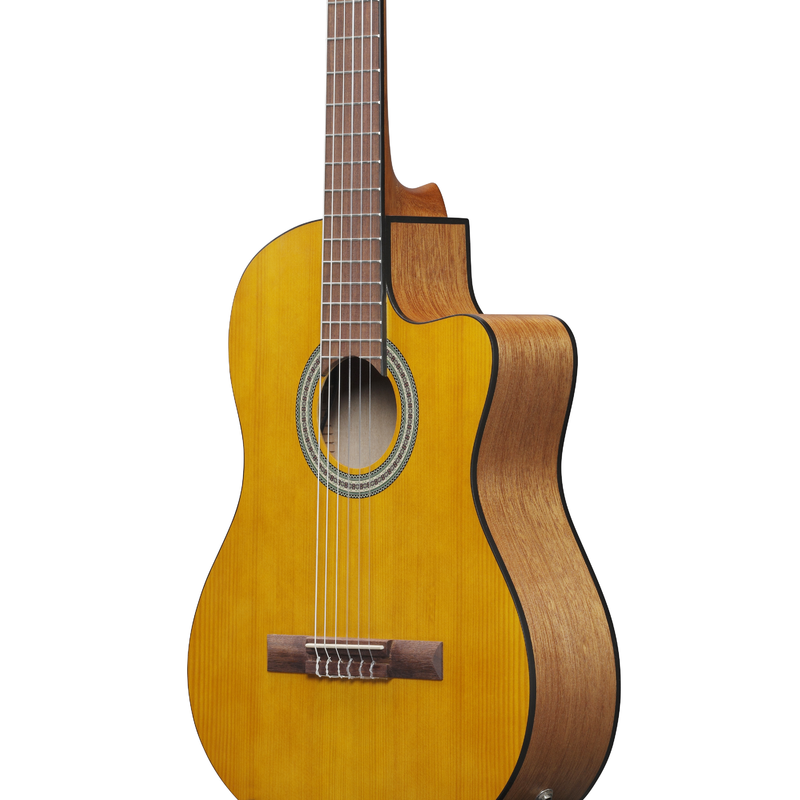 IBANEZ - 