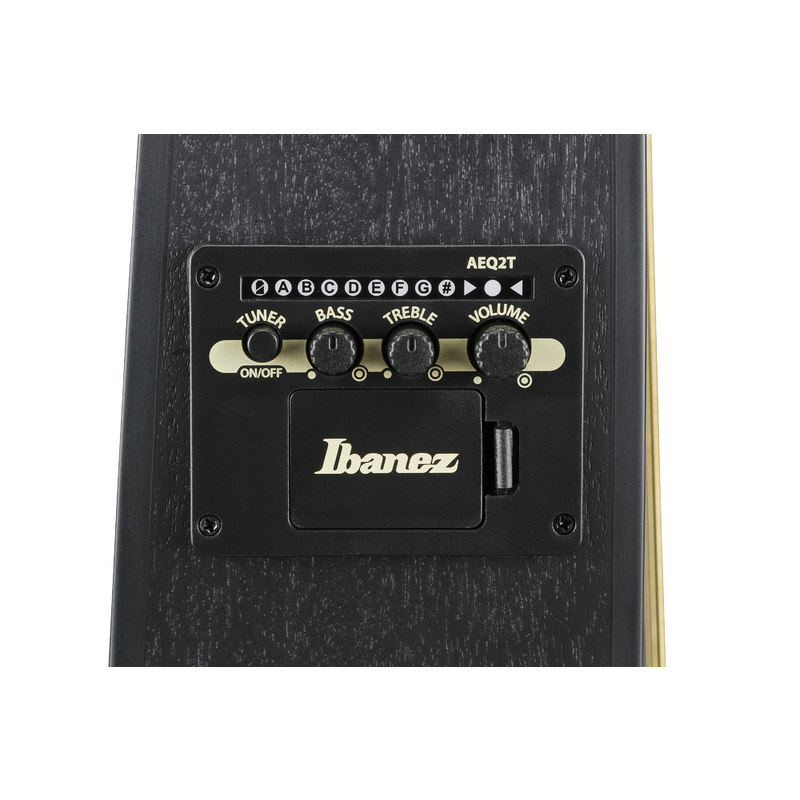 IBANEZ - 