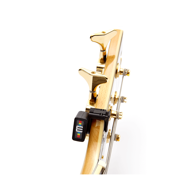 D'ADDARIO - 
