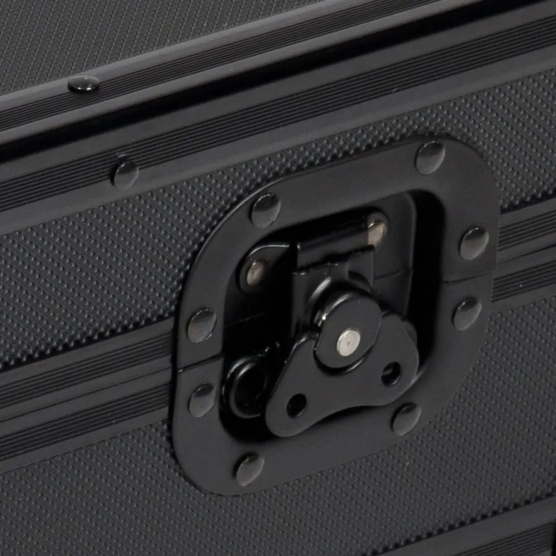 AlphaTheta - CASE PER FLX2/FLX4/XP2