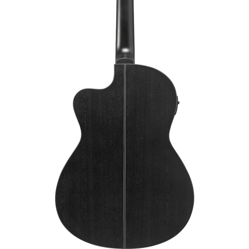 IBANEZ - 