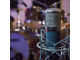 SE ELECTRONICS - Microfono condensatore valvolare da studio, 9 pattern polari selezionabili