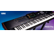PRO MUSIC - 