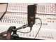 SE ELECTRONICS - 