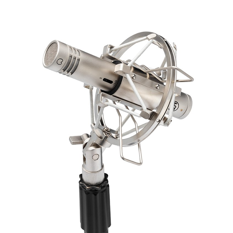 WARM AUDIO - Microfono Professionale da studio a Condensatore Nickel