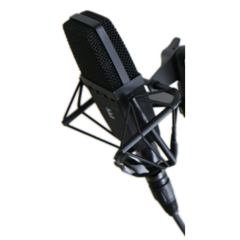 SE ELECTRONICS - Microfono a Condensatore per studio, broadcast e tour